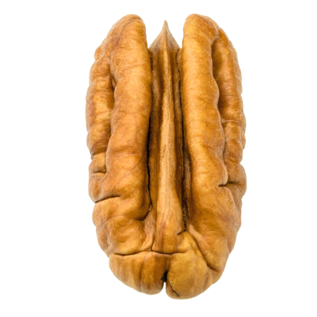 Golden Fresh Pecan - The Pecan Pantry