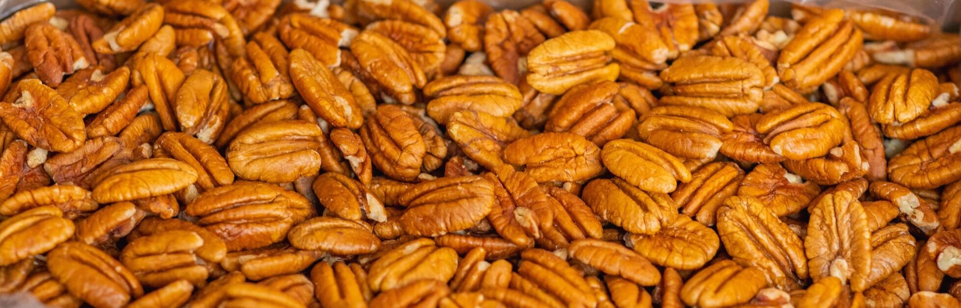 Premium Fresh Shelled Pecan Halves from The Pecan Pantry 